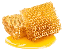 honey 2